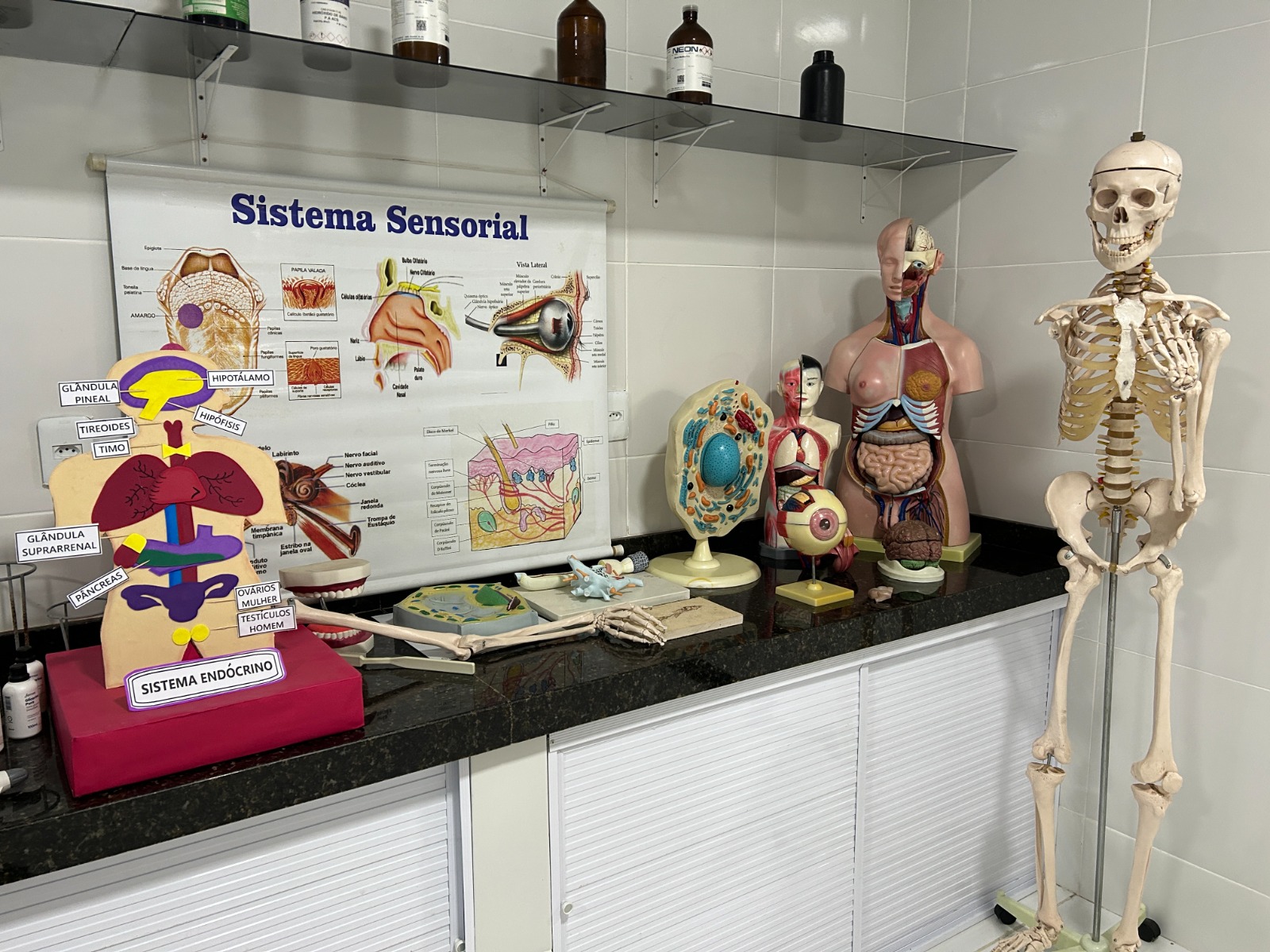 Laboratório de Biologia